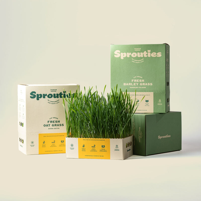 Barley and Oat Rotation - Sprouties