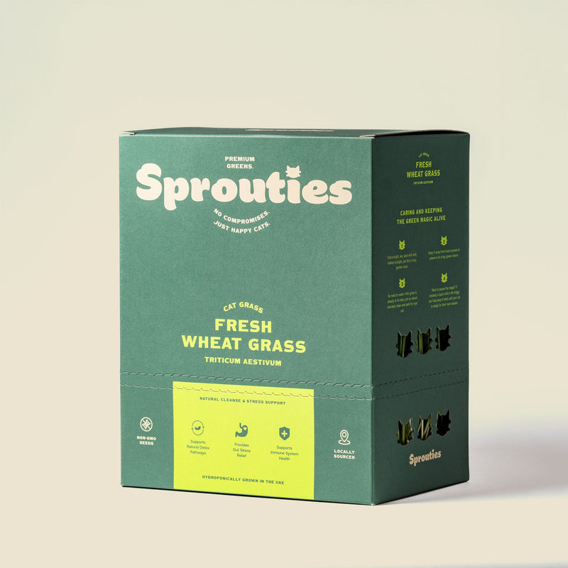 Fresh Wheat Cat Grass - Sprouties