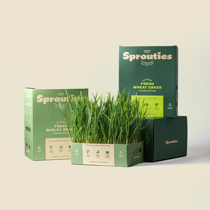 Weekly Vitality Pair - Sprouties