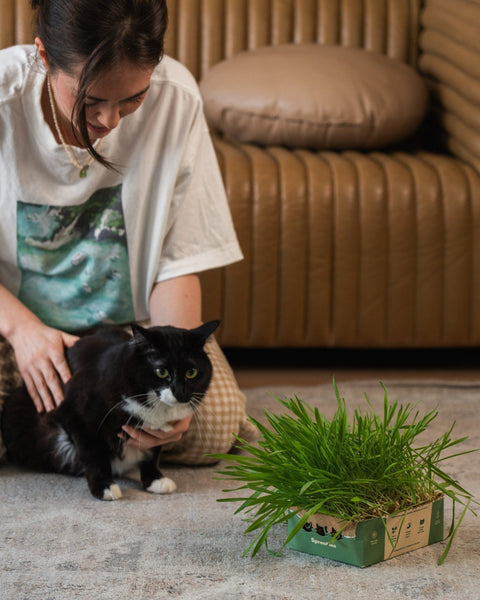 At Home with KAT, Where Sprouties Started - Sprouties