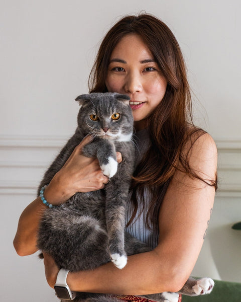 For Rescues and Foster Homes: Grass for Every Cat in Your Care - Sprouties