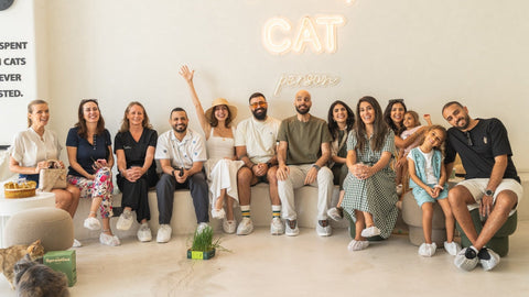 Home Is Where the Cat Is - Sprouties