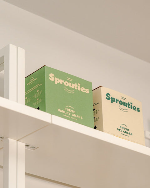 How Sprouties Grows Every Box - Sprouties
