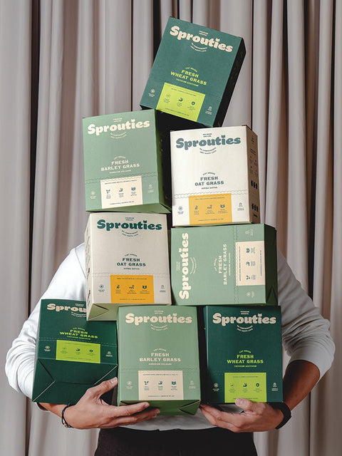 Wheat, Barley, or Oat? How to Choose the Right Cat Grass? - Sprouties