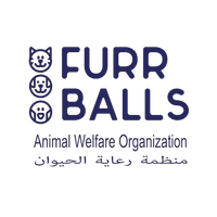 Furrballs Animal Welfare Organization