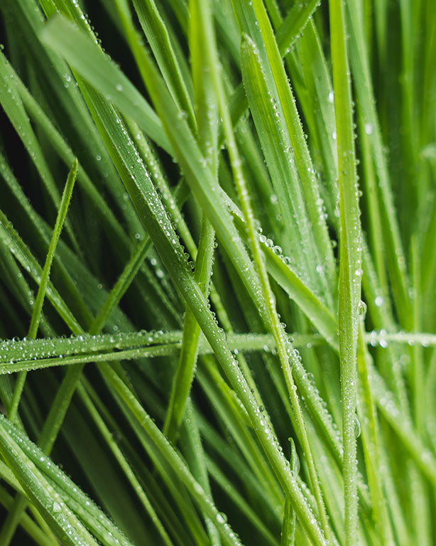 Product education image