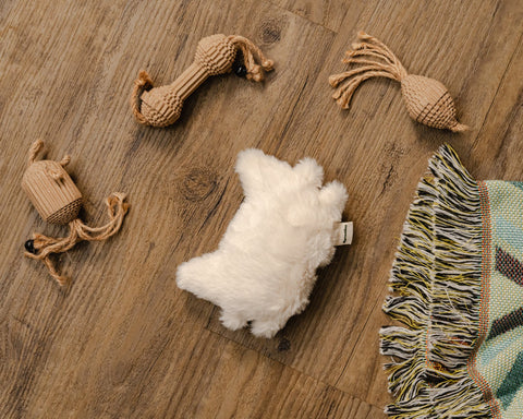 Catnip Floof Cat Toy - Sprouties