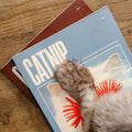 Catnip Magazine - Sprouties