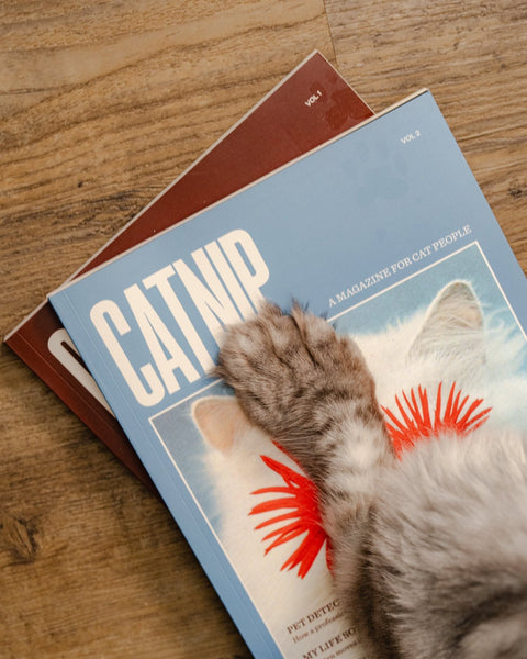 Catnip Magazine - Sprouties