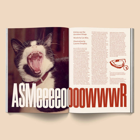 Catnip Magazine - Sprouties