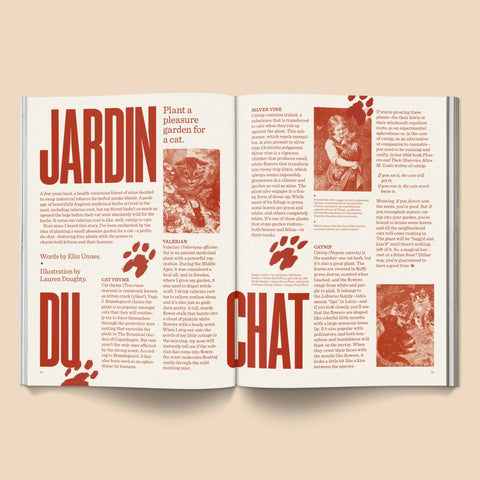 Catnip Magazine - Sprouties