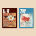 Catnip Magazine - Sprouties