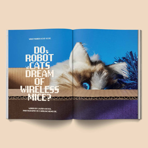 Catnip Magazine - Sprouties