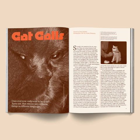 Catnip Magazine - Sprouties