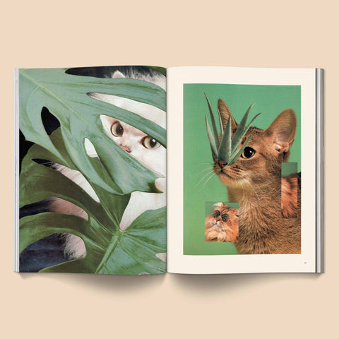 Catnip Magazine - Sprouties