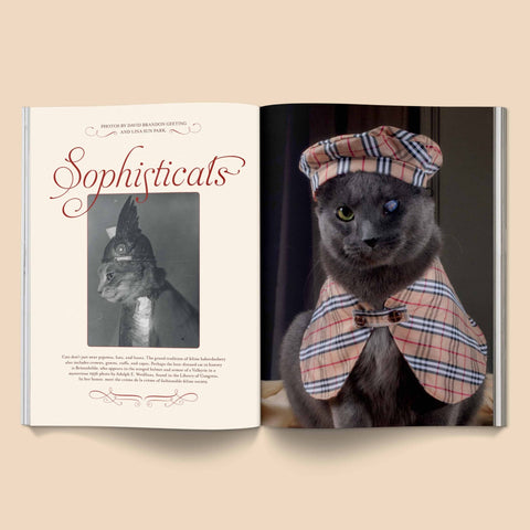 Catnip Magazine - Sprouties
