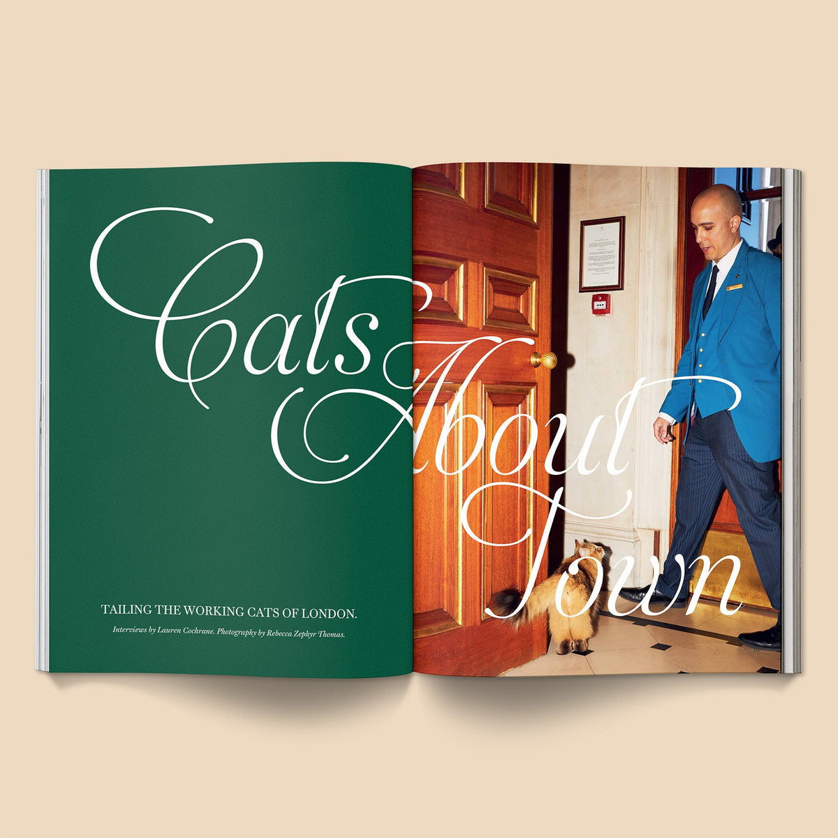 Catnip Magazine - Sprouties