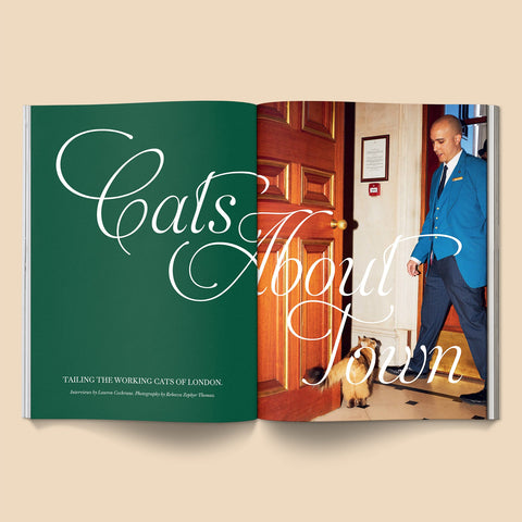 Catnip Magazine - Sprouties