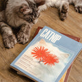 Catnip Magazine - Sprouties