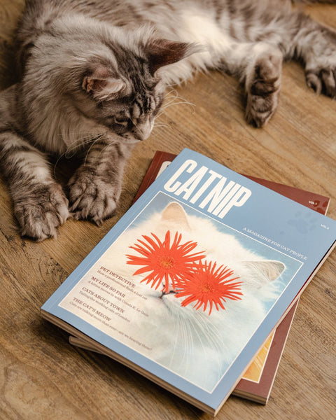 Catnip Magazine - Sprouties