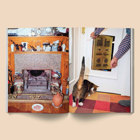 Catnip Magazine - Sprouties