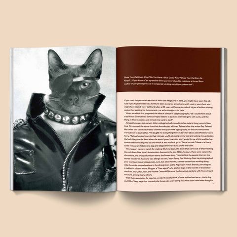 Catnip Magazine - Sprouties