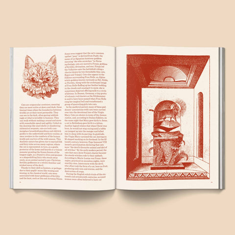 Catnip Magazine - Sprouties
