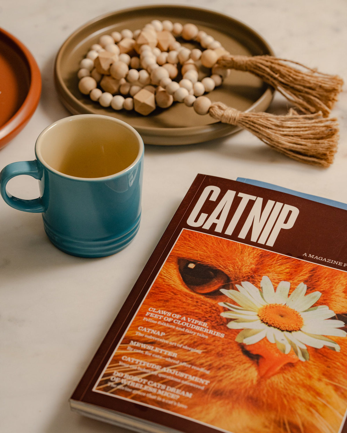 Catnip Volume 1 on a table beside a blue mug and a dish of wooden beads