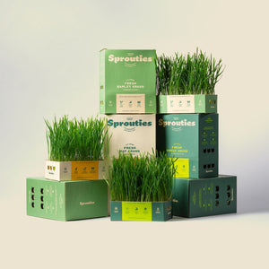 Complete Wellness Bundle