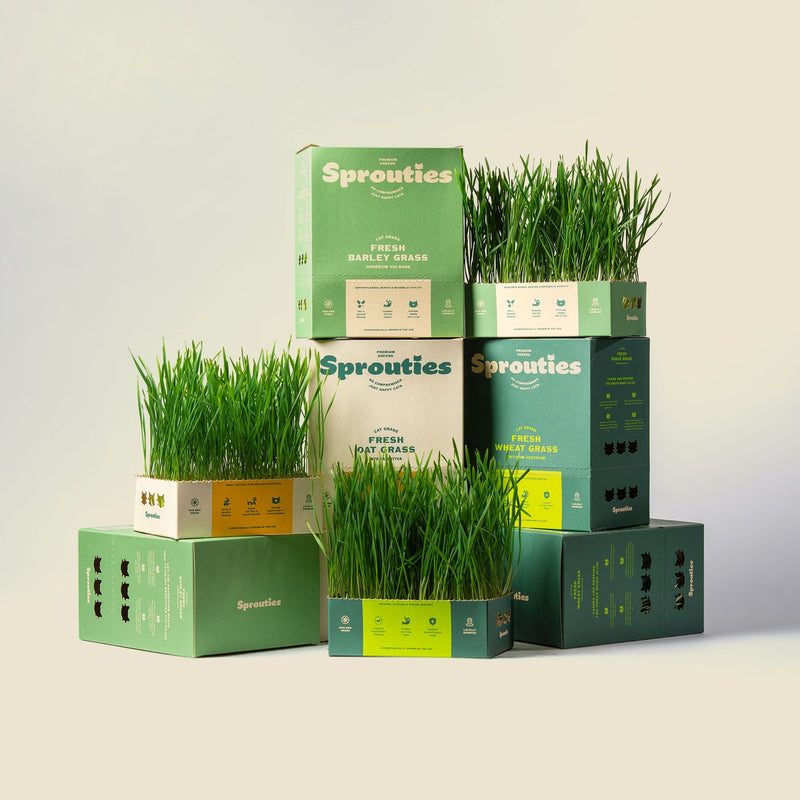 Complete Wellness Bundle - Sprouties