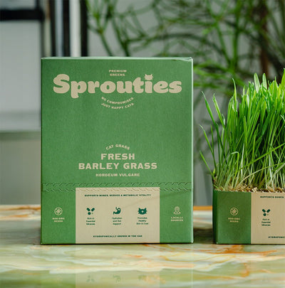 Fresh Barley Cat Grass - Sprouties