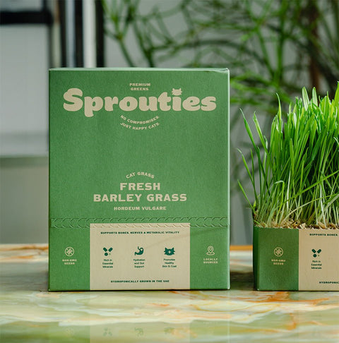Fresh Barley Cat Grass - Sprouties