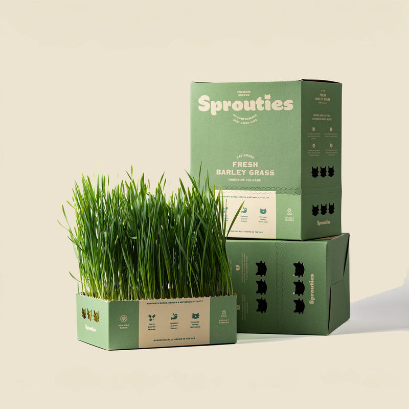 Fresh Barley Cat Grass - Sprouties
