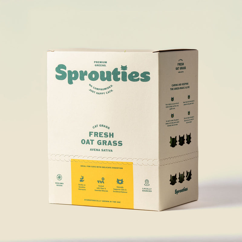 Fresh Oat Cat Grass - Sprouties
