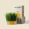 Fresh Oat Cat Grass - Sprouties