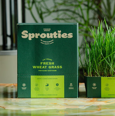 Fresh Wheat Cat Grass - Sprouties