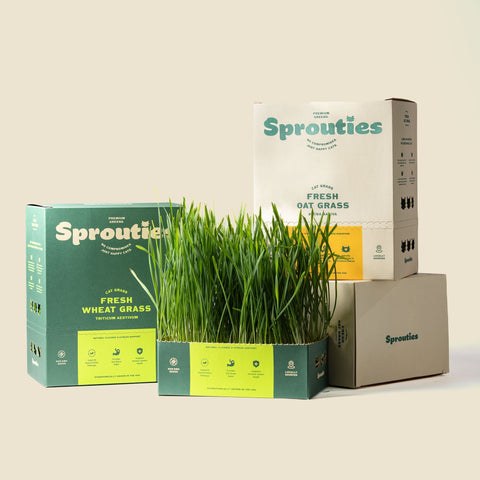 Weekly Nourishment Mix - Sprouties